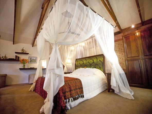 Arusha Coffee Lodge - suite